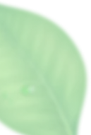 Decorative Shape for Best Spa & Massage in Hadapsar Pune